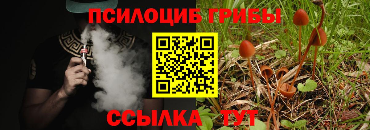 Галлюциногенные грибы GOLDEN TEACHER Новоалександровск