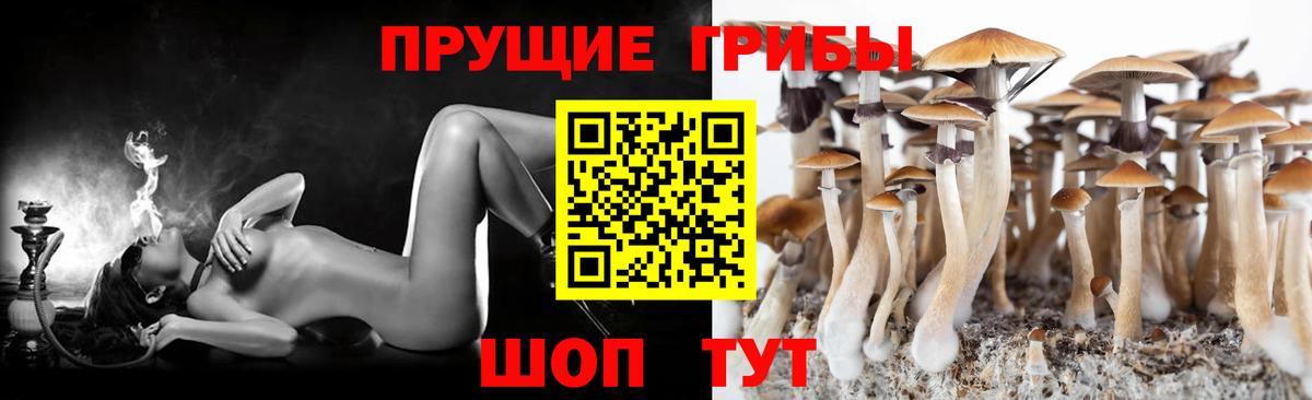 цена   Псилоцибиновые грибы Magic Shrooms  Вход с VPN  Новоалександровск 